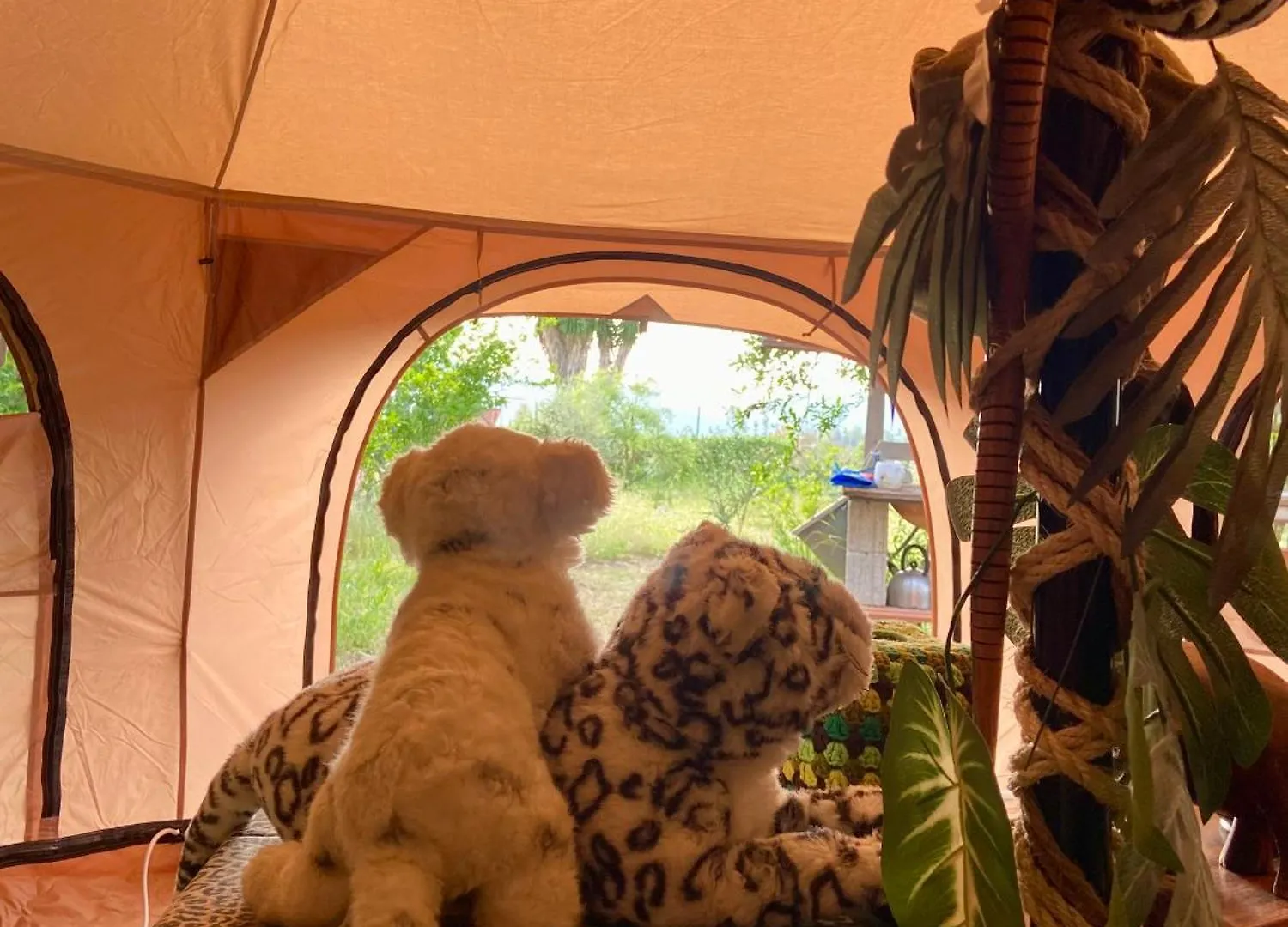 Camping Finca Fahala Cártama